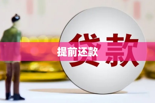 府谷提前还款