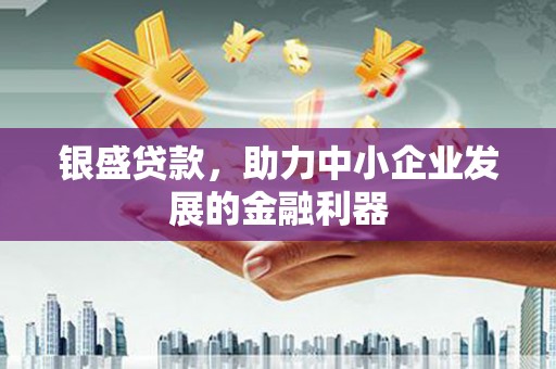 府谷银盛贷款，助力中小企业发展的金融利器
