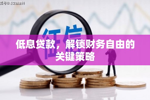 府谷低息贷款，解锁财务自由的关键策略