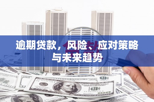 府谷逾期贷款，风险、应对策略与未来趋势