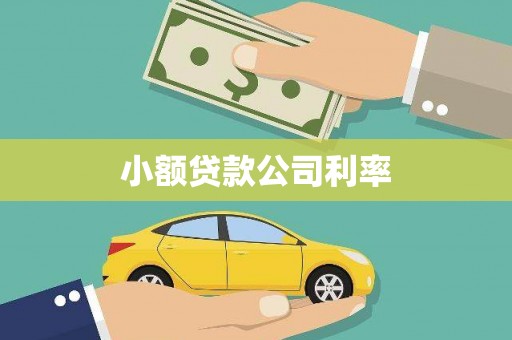 府谷小额贷款公司利率