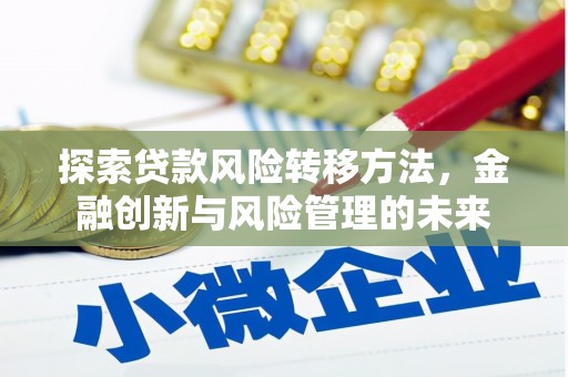 府谷探索贷款风险转移方法，金融创新与风险管理的未来