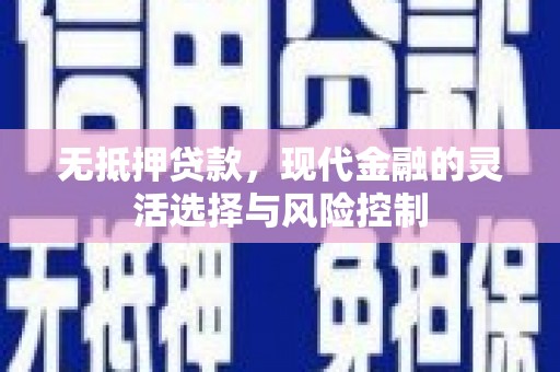 府谷无抵押贷款，现代金融的灵活选择与风险控制