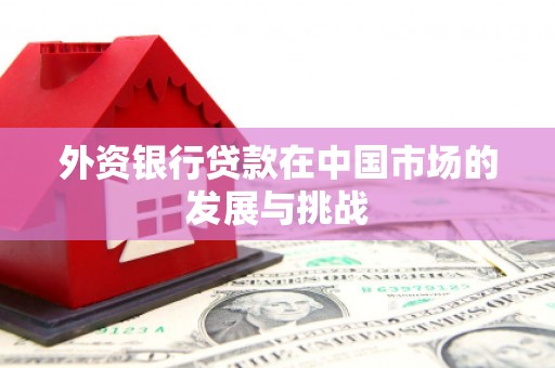 府谷外资银行贷款在中国市场的发展与挑战