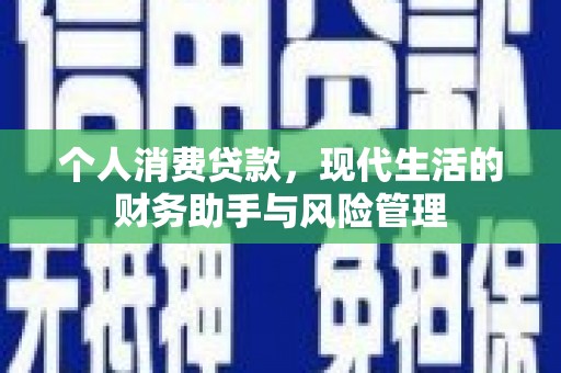 府谷个人消费贷款，现代生活的财务助手与风险管理