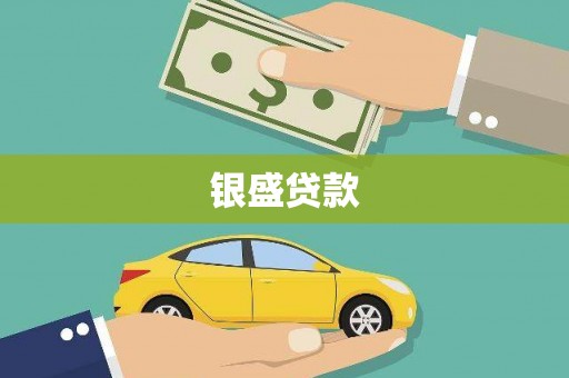 府谷银盛贷款