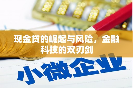 府谷现金贷的崛起与风险，金融科技的双刃剑