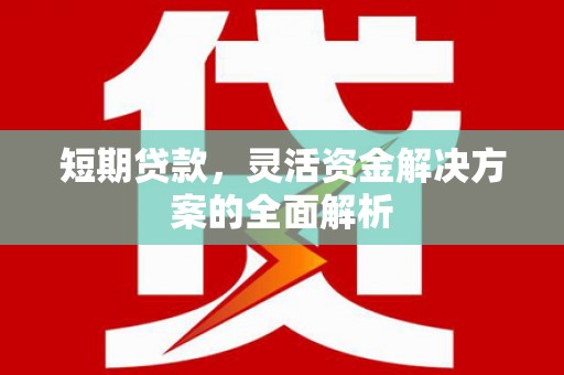 府谷短期贷款，灵活资金解决方案的全面解析