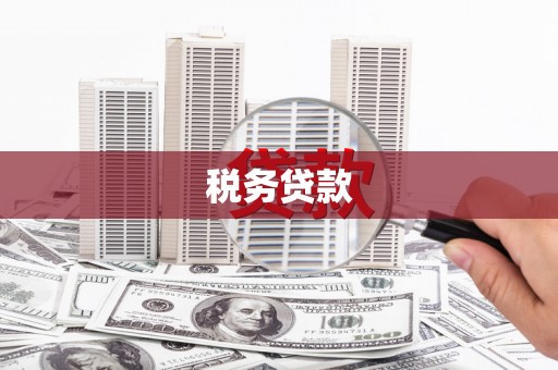 府谷税务贷款