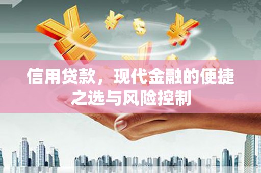 府谷信用贷款，现代金融的便捷之选与风险控制