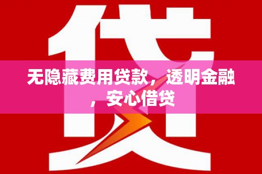 府谷无隐藏费用贷款，透明金融，安心借贷