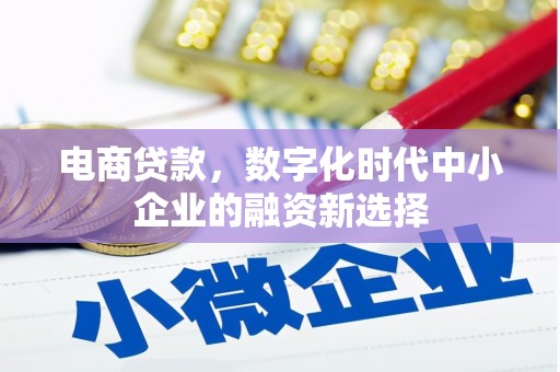 府谷电商贷款，数字化时代中小企业的融资新选择