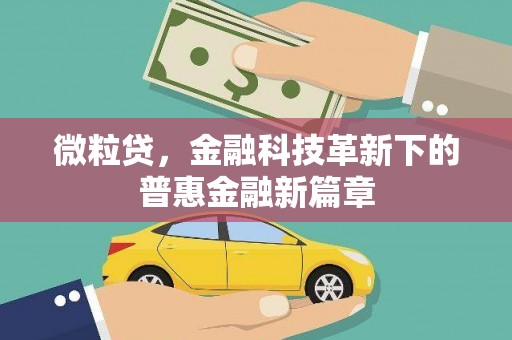 府谷微粒贷，金融科技革新下的普惠金融新篇章