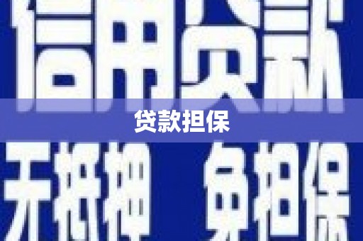 府谷贷款担保