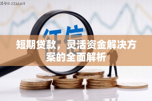 府谷短期贷款，灵活资金解决方案的全面解析