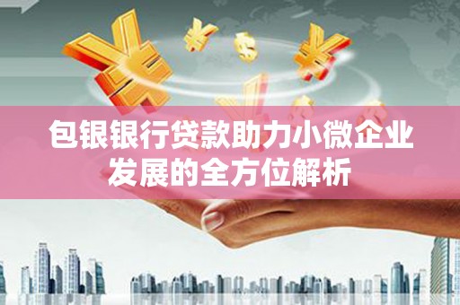 府谷包银银行贷款助力小微企业发展的全方位解析