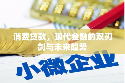 府谷消费贷款，现代金融的双刃剑与未来趋势
