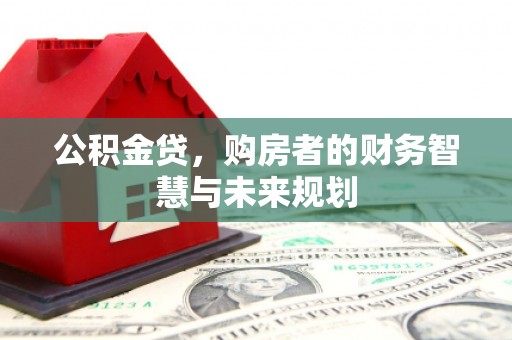 府谷公积金贷，购房者的财务智慧与未来规划