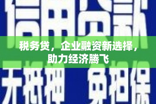 府谷税务贷，企业融资新选择，助力经济腾飞