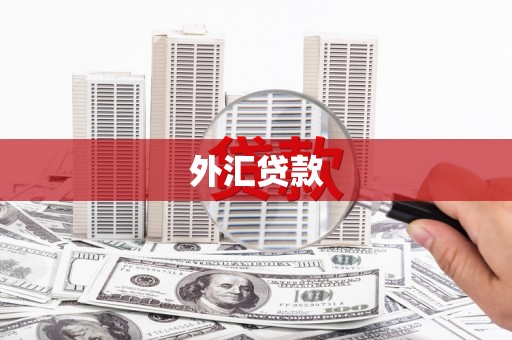 府谷外汇贷款