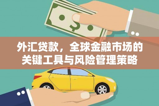 府谷外汇贷款，全球金融市场的关键工具与风险管理策略