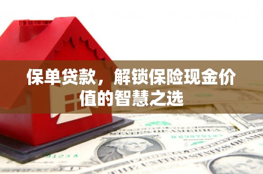 府谷保单贷款，解锁保险现金价值的智慧之选