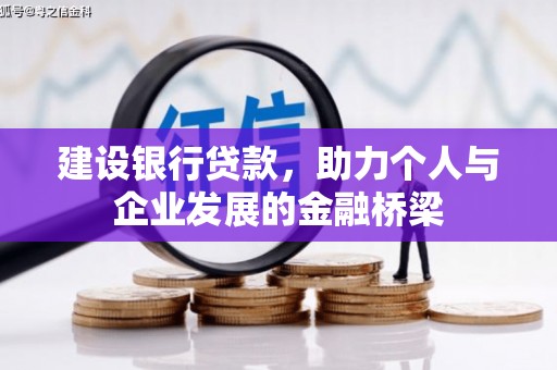 府谷建设银行贷款，助力个人与企业发展的金融桥梁