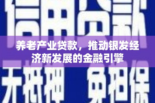 府谷养老产业贷款，推动银发经济新发展的金融引擎