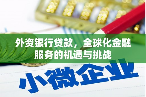 府谷外资银行贷款，全球化金融服务的机遇与挑战