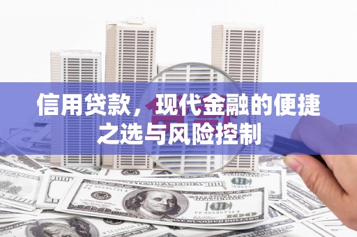 府谷信用贷款，现代金融的便捷之选与风险控制
