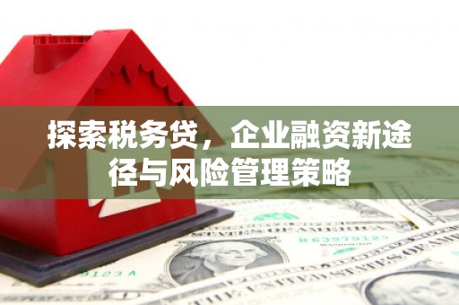 府谷探索税务贷，企业融资新途径与风险管理策略