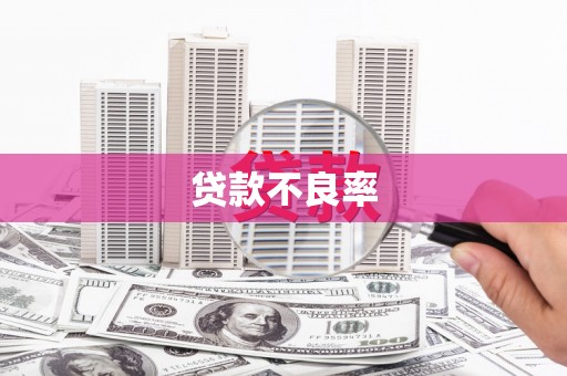 府谷贷款不良率