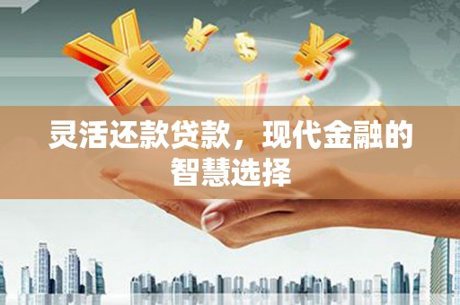 府谷灵活还款贷款，现代金融的智慧选择