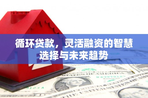府谷循环贷款，灵活融资的智慧选择与未来趋势