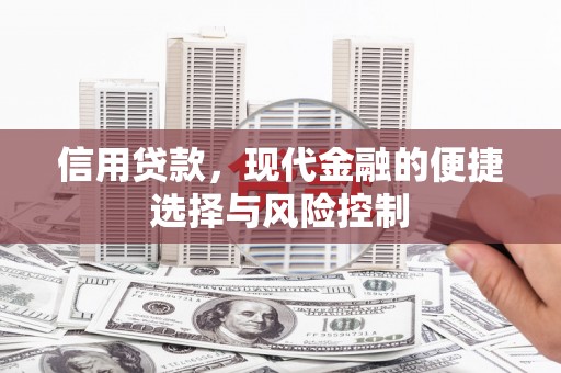 府谷信用贷款，现代金融的便捷选择与风险控制