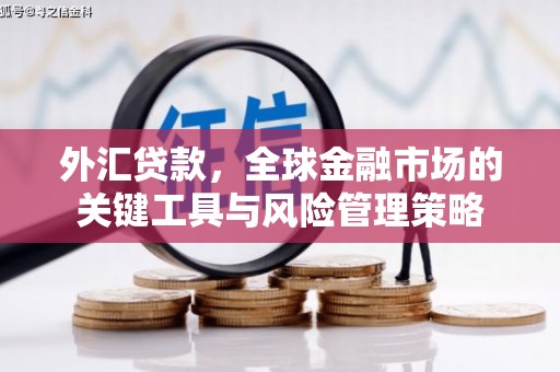 府谷外汇贷款，全球金融市场的关键工具与风险管理策略