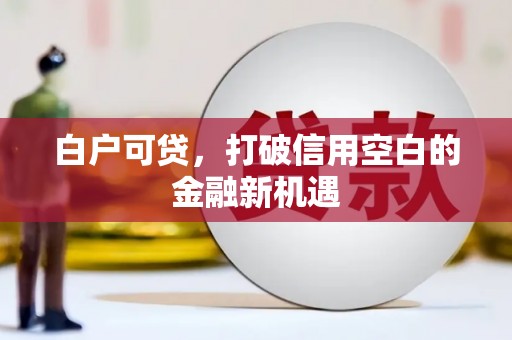 府谷白户可贷，打破信用空白的金融新机遇