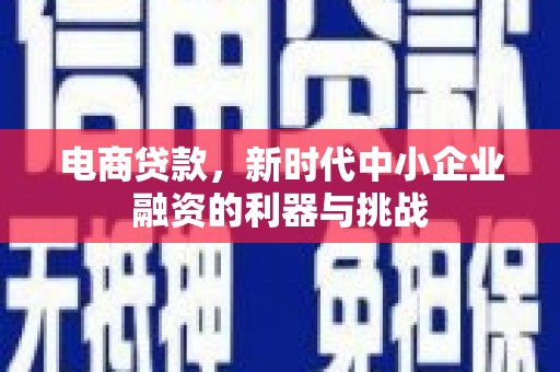 府谷电商贷款，新时代中小企业融资的利器与挑战