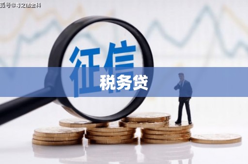 府谷税务贷