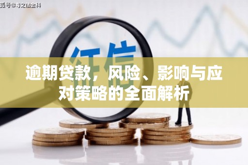 府谷逾期贷款，风险、影响与应对策略的全面解析