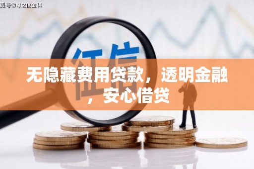 府谷无隐藏费用贷款，透明金融，安心借贷