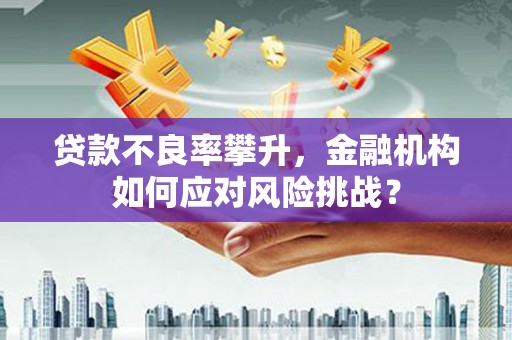 府谷贷款不良率攀升，金融机构如何应对风险挑战？