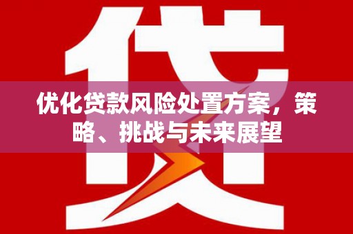 府谷优化贷款风险处置方案，策略、挑战与未来展望