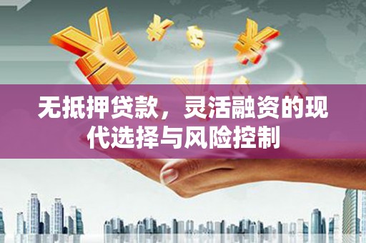 府谷无抵押贷款，灵活融资的现代选择与风险控制