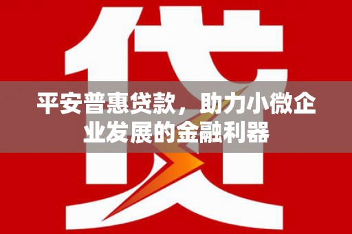 府谷平安普惠贷款，助力小微企业发展的金融利器