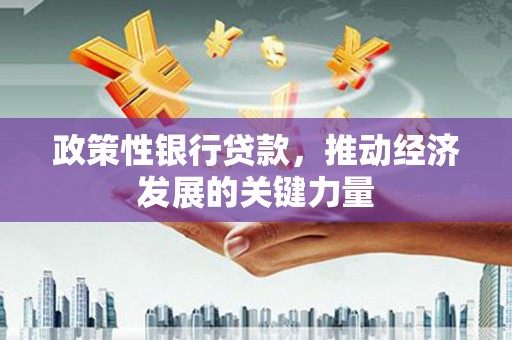 府谷政策性银行贷款，推动经济发展的关键力量