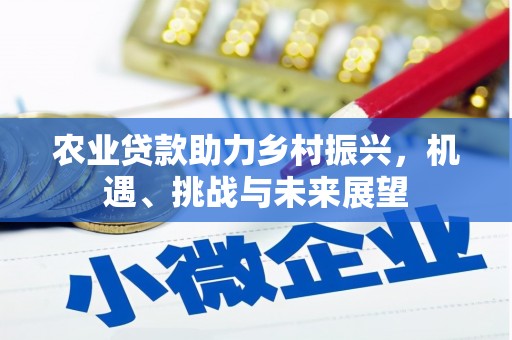 府谷农业贷款助力乡村振兴，机遇、挑战与未来展望