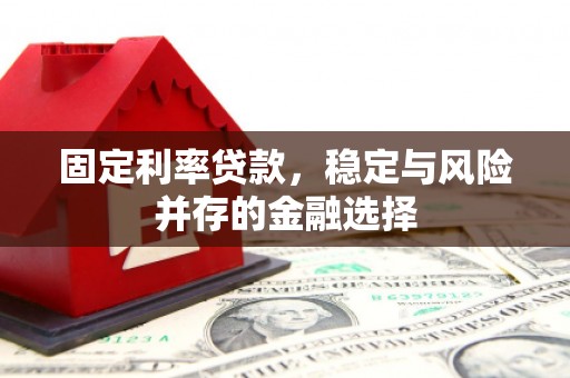 府谷固定利率贷款，稳定与风险并存的金融选择