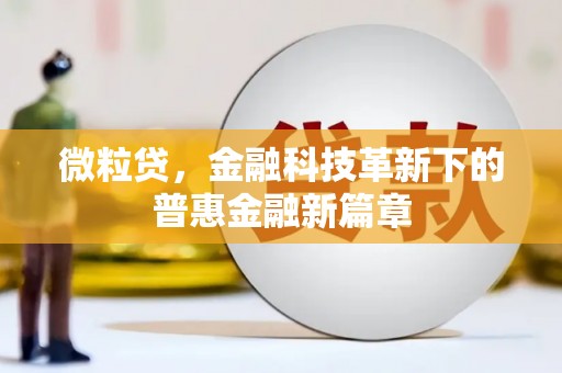 府谷微粒贷，金融科技革新下的普惠金融新篇章