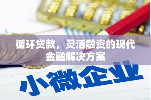 府谷循环贷款，灵活融资的现代金融解决方案